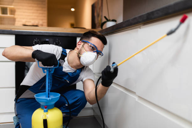 Best Cockroach Control Services  in Plymouth, CA