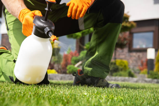 Best Pest Removal Services  in Plymouth, CA