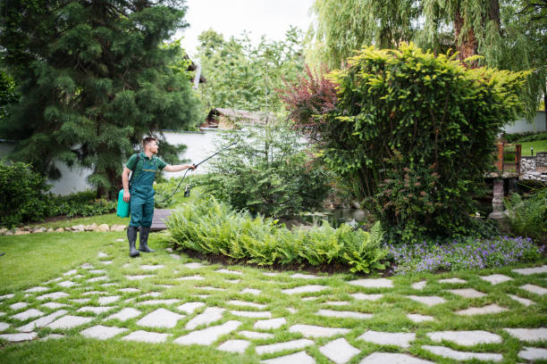 Reliable Plymouth, CA Pest Control Solutions