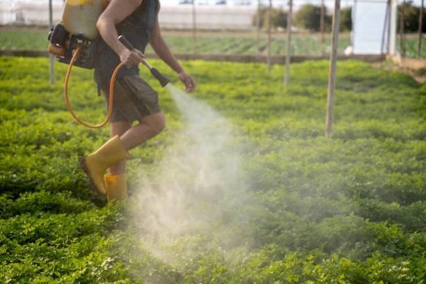 Pest Prevention Services in Plymouth, CA