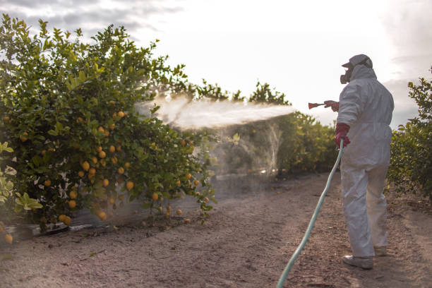 Best Pest Inspection Near Me  in Plymouth, CA