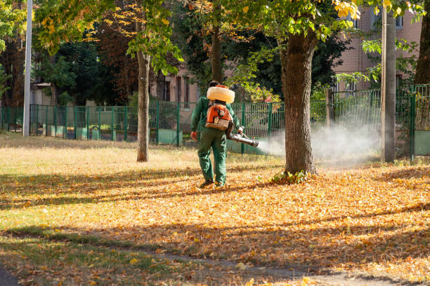 Best Residential Pest Control  in Plymouth, CA