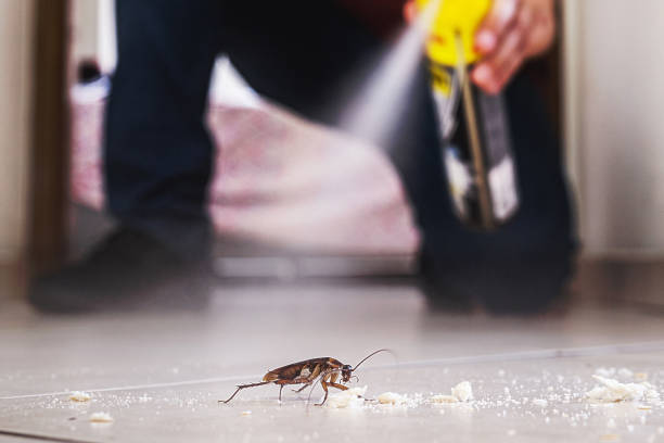 Best Affordable Pest Control Services  in Plymouth, CA