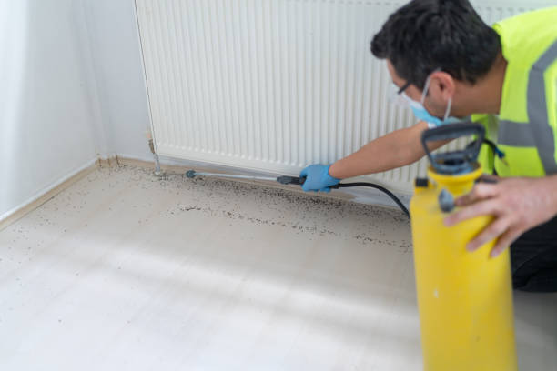 Best Termite Control Services  in Plymouth, CA
