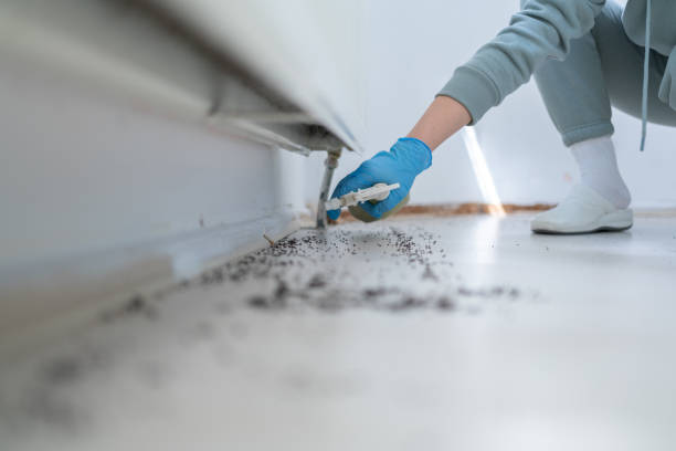 Best Local Pest Control Services  in Plymouth, CA